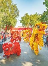  20260224四川日报图片