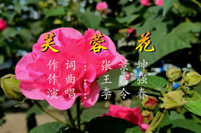 芙蓉花 MV 词：张景坤 曲：王富强 演唱：李令春