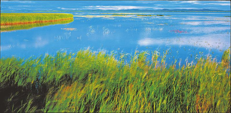 21cc0f89baffbf50e801d7a31dc7ffc1.jpg (800×390)