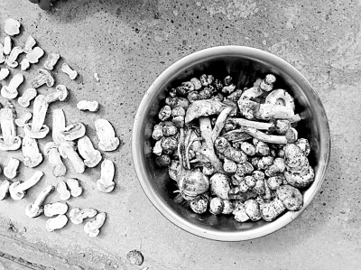 【留住乡愁】拾蘑菇 【留住乡愁】拾蘑菇