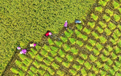 农耕文明，为建设农业强国提供丰厚滋养