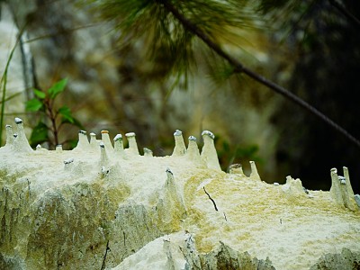 梦幻山谷 彩色沙林