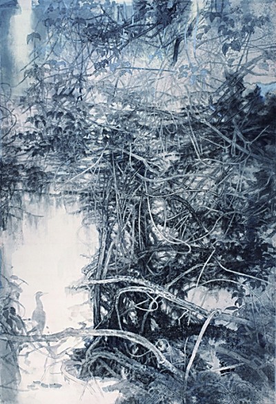 【艺术手札】我的雨林花木情怀 【艺术手札】我的雨林花木情怀