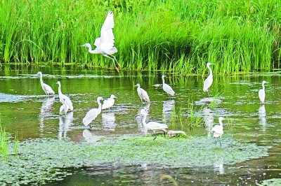 【大美中国】承千年之脉 续盛世华章 【大美中国】承千年之脉 续盛世华章
