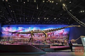 成都自然博物馆开馆 来这里看24米长的“巨无霸”恐龙化石