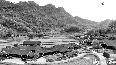 电视文艺创作描绘新时代“三农”崭新图景 电视文艺创作描绘新时代“三农”崭新图景