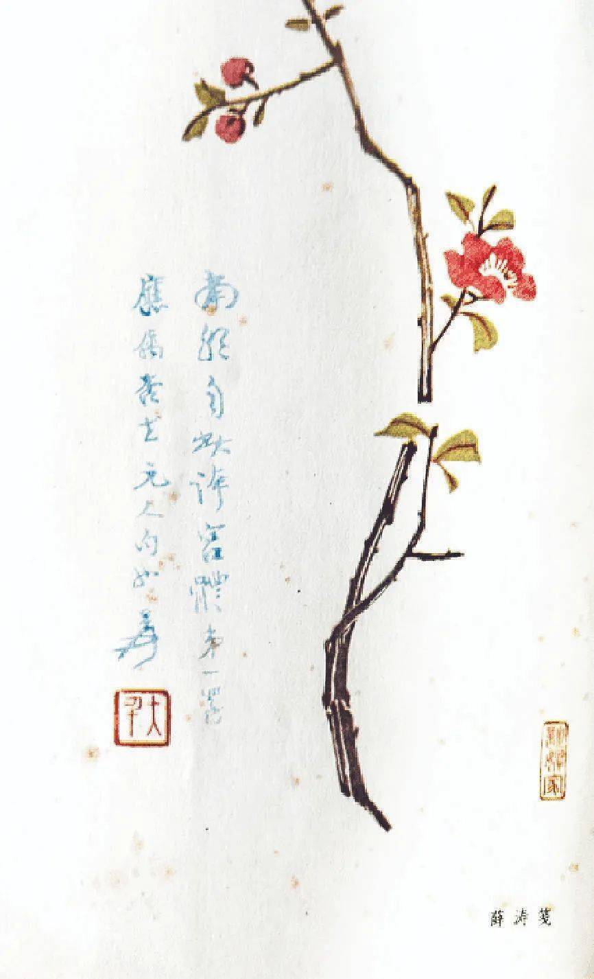 历史文化】薛涛笺引领的文化风尚‖古越龙_史料之窗_文化纵横_四川省情网