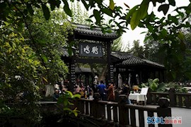 清明假期 成都人民公园百年“鹤鸣”茶社人气高
