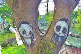 徜徉府河之畔 漫步欣赏3D树画 好文艺！