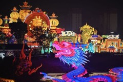 自贡：第30届自贡国际恐龙灯会璀璨亮灯